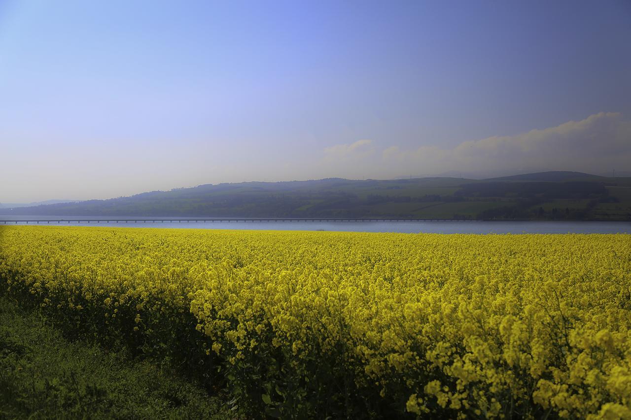 Henshire B&B Dingwall Zewnętrze zdjęcie